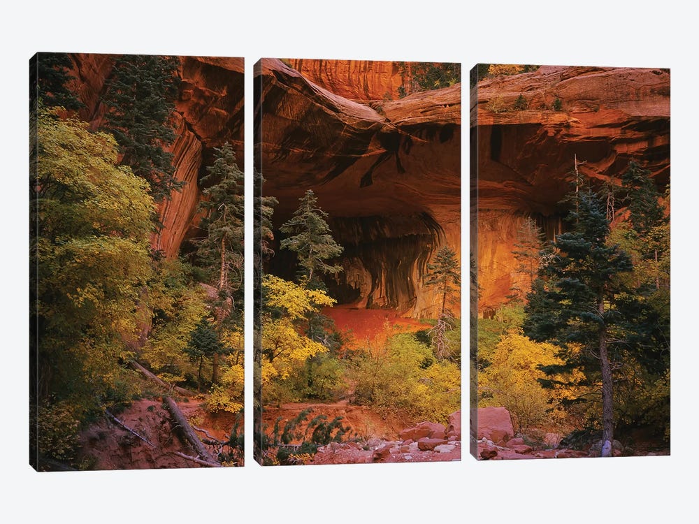 Trees in front of a cave, Zion National Park, Utah, USA by Panoramic Images 3-piece Canvas Print