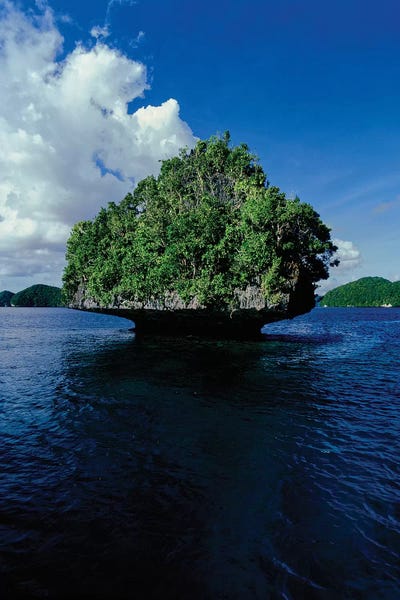 Trees on an island in the Pacific ocean, Palau, Micronesia by Panoramic Images framed wall art