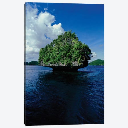 Trees on an island in the Pacific ocean, Palau, Micronesia Canvas Print #PIM15801} by Panoramic Images Canvas Artwork