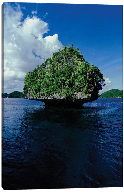 Trees on an island in the Pacific ocean, Palau, Micronesia Canvas Art Print - Micronesia