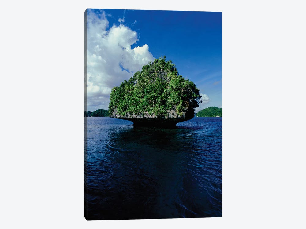 Trees on an island in the Pacific ocean, Palau, Micronesia by Panoramic Images 1-piece Canvas Art