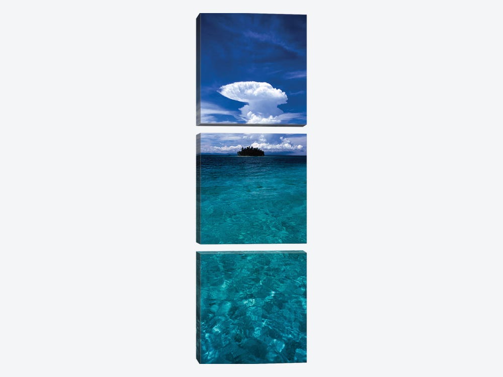 Trees on an island, San Blas Islands, Panama by Panoramic Images 3-piece Canvas Print