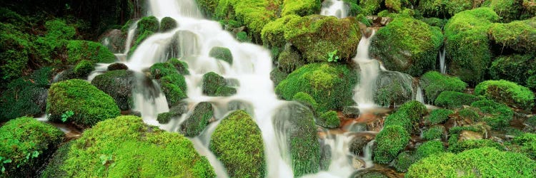 Sol Duc Falls, Olympic National Park, Washington, USA