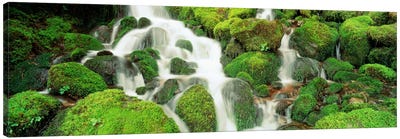 Sol Duc Falls, Olympic National Park, Washington, USA Canvas Art Print - Moss