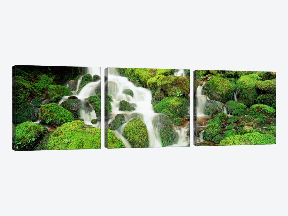 Sol Duc Falls, Olympic National Park, Washington, USA by Panoramic Images 3-piece Canvas Art