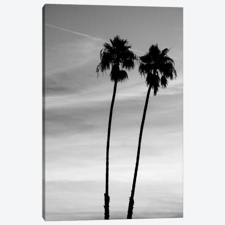 Two palm trees, Santa Barbara, California, USA Canvas Print #PIM15810} by Panoramic Images Canvas Art Print