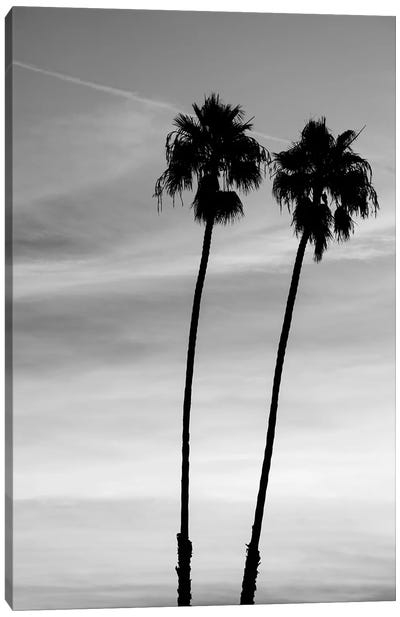 Two palm trees, Santa Barbara, California, USA Canvas Art Print