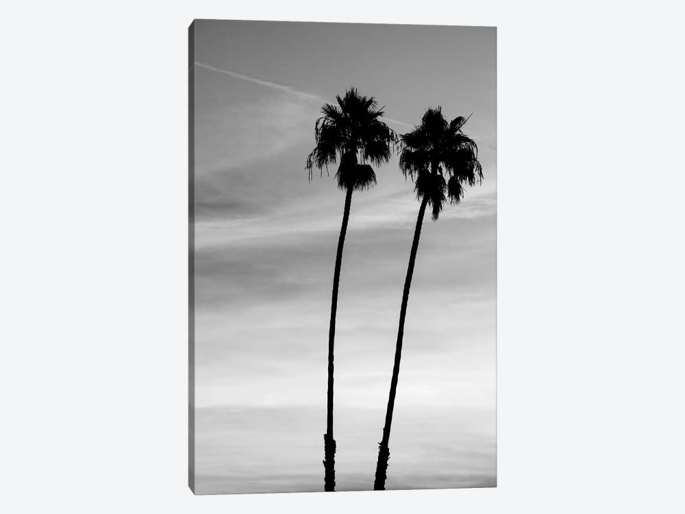 Two palm trees, Santa Barbara, California, USA by Panoramic Images 1-piece Canvas Artwork