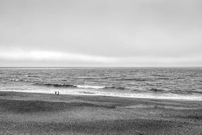Two people and dog on beach at Point Reyes National Seashore, California, USA by Panoramic Images canvas print
