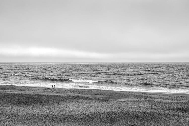 Two people and dog on beach at Point Reyes National Seashore, California, USA