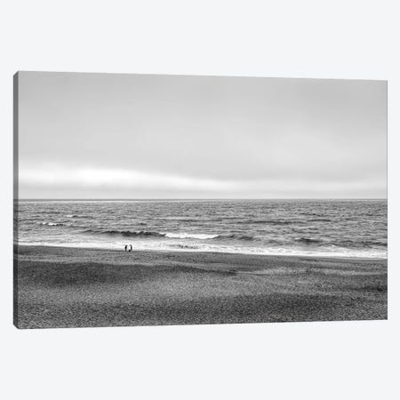 Two people and dog on beach at Point Reyes National Seashore, California, USA Canvas Print #PIM15812} by Panoramic Images Art Print