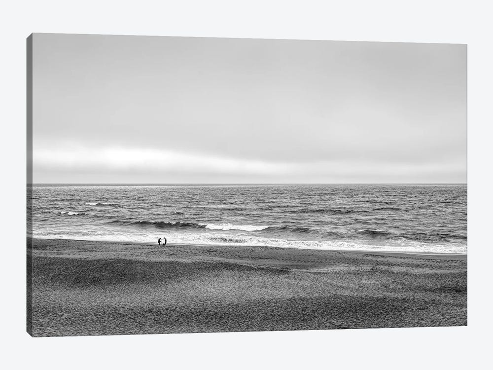 Two people and dog on beach at Point Reyes National Seashore, California, USA by Panoramic Images 1-piece Canvas Wall Art