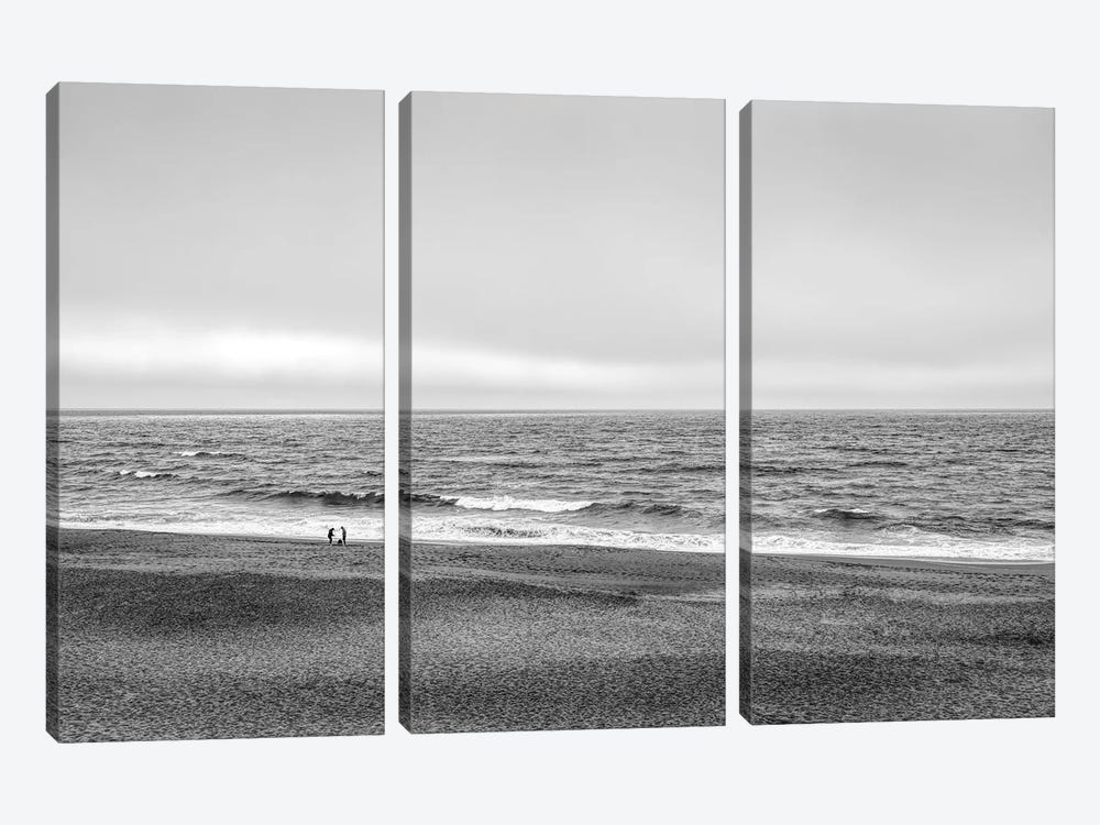 Two people and dog on beach at Point Reyes National Seashore, California, USA by Panoramic Images 3-piece Canvas Artwork