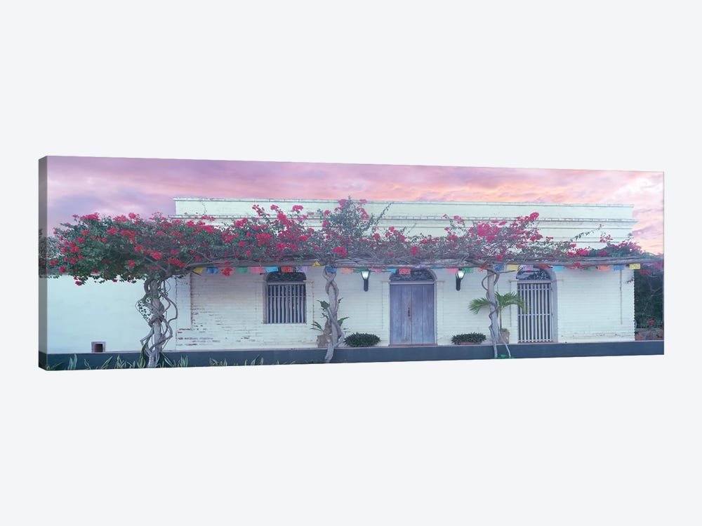 View of building with pergola, Todos Santos, Baja California Sur, Mexico by Panoramic Images 1-piece Canvas Artwork