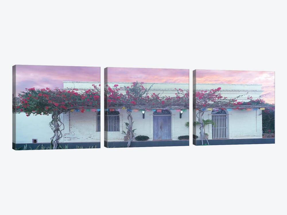 View of building with pergola, Todos Santos, Baja California Sur, Mexico by Panoramic Images 3-piece Canvas Wall Art