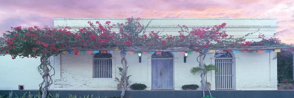 Mexico: View of building with pergola, Todos Santos, Baja California Sur, Mexico by Panoramic Images