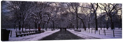 Bare trees in a parkCentral Park, New York City, New York State, USA Canvas Art Print - Snowscape Art