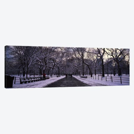 Bare trees in a parkCentral Park, New York City, New York State, USA Canvas Print #PIM1583} by Panoramic Images Canvas Art