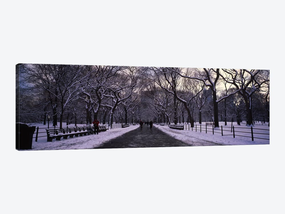Bare trees in a parkCentral Park, New York City, New York State, USA by Panoramic Images 1-piece Canvas Art Print