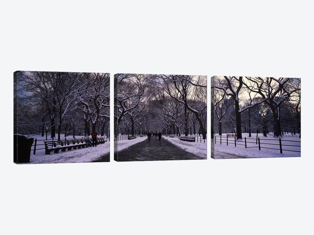 Bare trees in a parkCentral Park, New York City, New York State, USA by Panoramic Images 3-piece Art Print