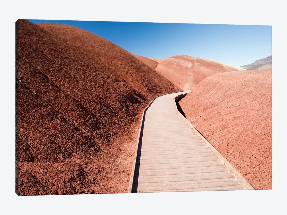View of painted hills, John Day Fossil beds National Monument, Wheeler County, Oregon, USA by Panoramic Images 1-piece Art Print