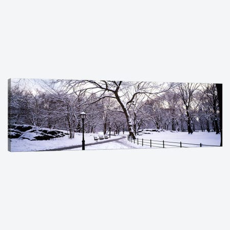 Bare trees during winter in a parkCentral Park, Manhattan, New York City, New York State, USA Canvas Print #PIM1584} by Panoramic Images Art Print