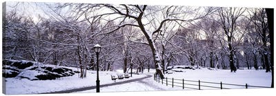 Bare trees during winter in a parkCentral Park, Manhattan, New York City, New York State, USA Canvas Art Print - Central Park