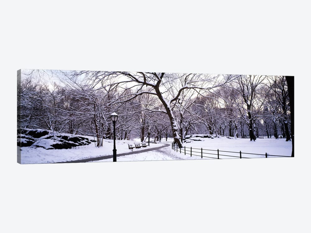 Bare trees during winter in a parkCentral Park, Manhattan, New York City, New York State, USA by Panoramic Images 1-piece Canvas Artwork