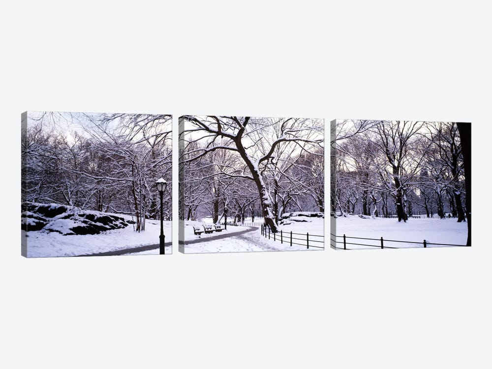 Bare trees during winter in a parkCentral Park, Manhattan, New York City, New York State, USA by Panoramic Images 3-piece Canvas Artwork