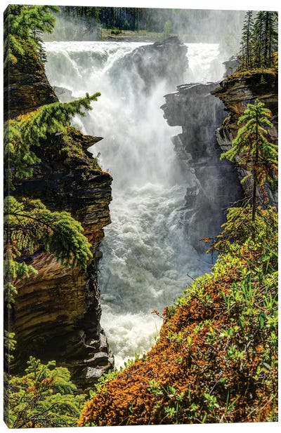 View of waterfall, Athabasca Falls, Athabasca River, Jasper National Park, Alberta, Canada Canvas Art Print