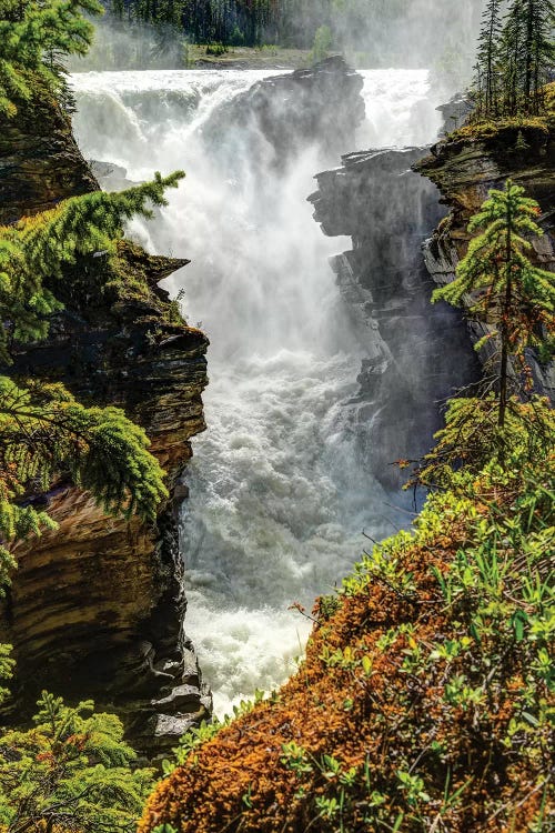 View of waterfall, Athabasca Falls, Athabasca River, Jasper National Park, Alberta, Canada