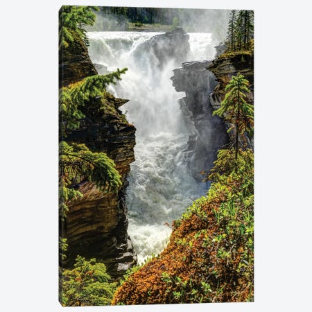 View of waterfall, Athabasca Falls, Athabasca River, Jasper National Park, Alberta, Canada Canvas Print #PIM15855} by Panoramic Images Canvas Art