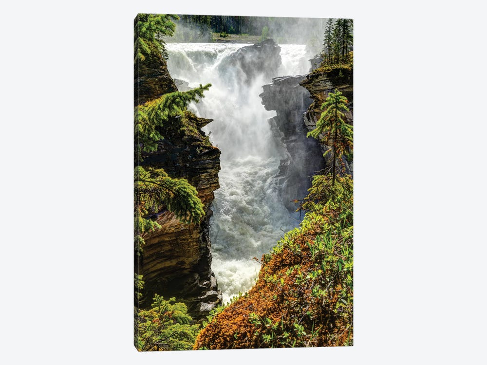 View of waterfall, Athabasca Falls, Athabasca River, Jasper National Park, Alberta, Canada by Panoramic Images 1-piece Canvas Print