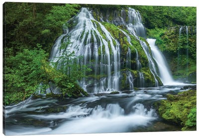 Water flowing through rocks, Panther Creek Falls, Skahamia County, Washington State, USA Canvas Art Print - Washington Art