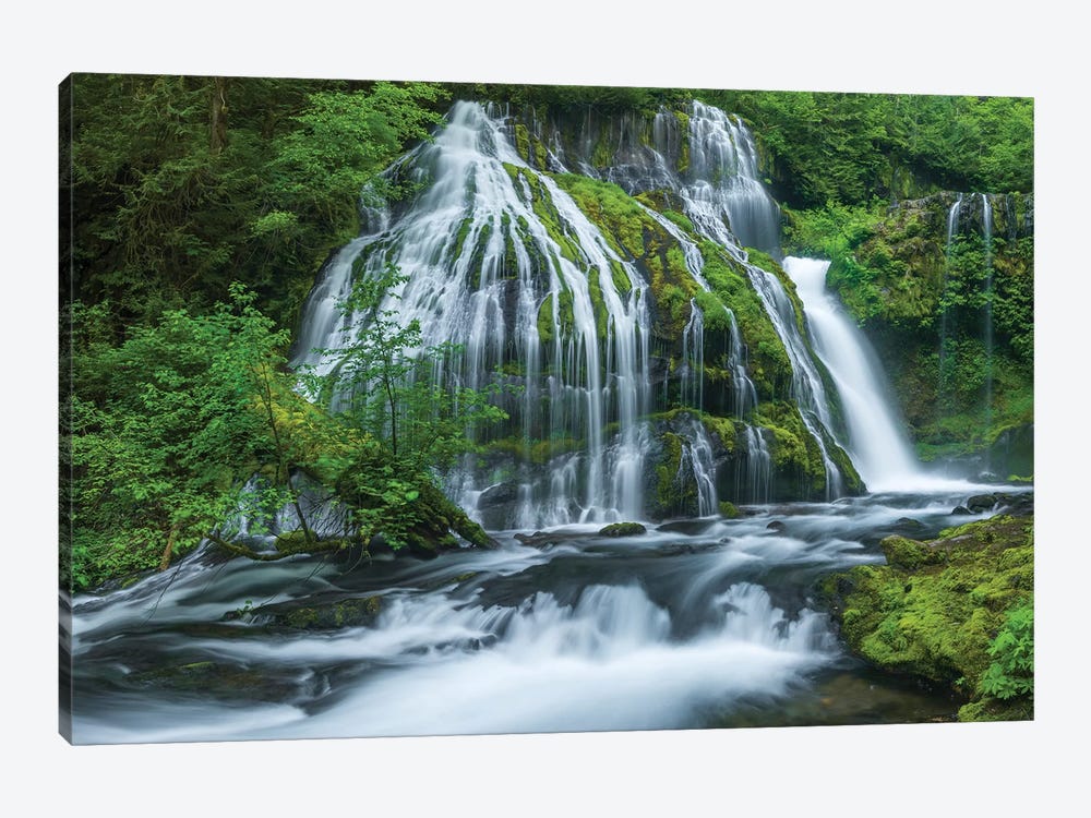 Water flowing through rocks, Panther Creek Falls, Skahamia County, Washington State, USA by Panoramic Images 1-piece Canvas Art Print