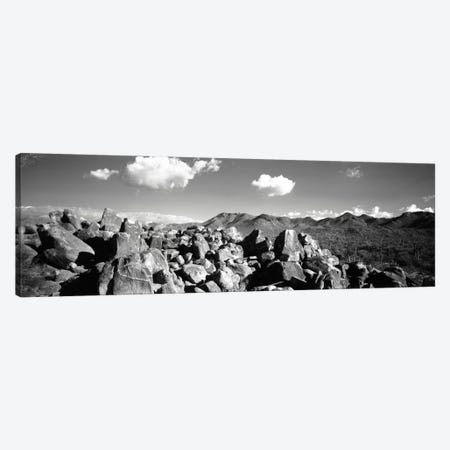 Boulders on a landscapeSaguaro National Park, Tucson, Pima County, Arizona, USA Canvas Print #PIM1585} by Panoramic Images Canvas Art Print