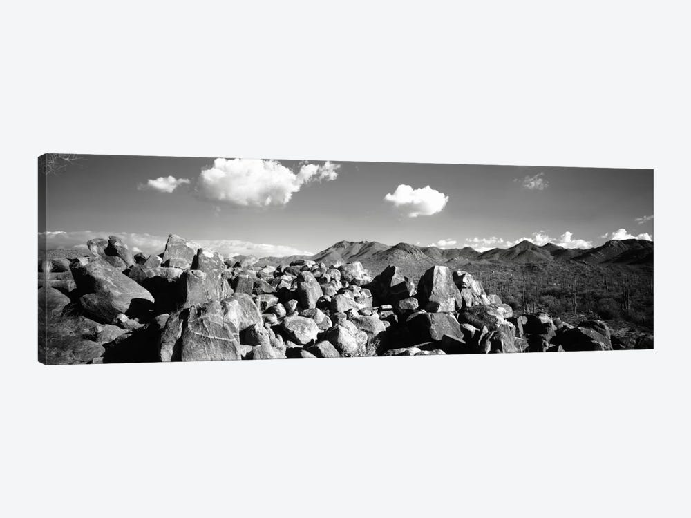 Boulders on a landscapeSaguaro National Park, Tucson, Pima County, Arizona, USA by Panoramic Images 1-piece Canvas Print