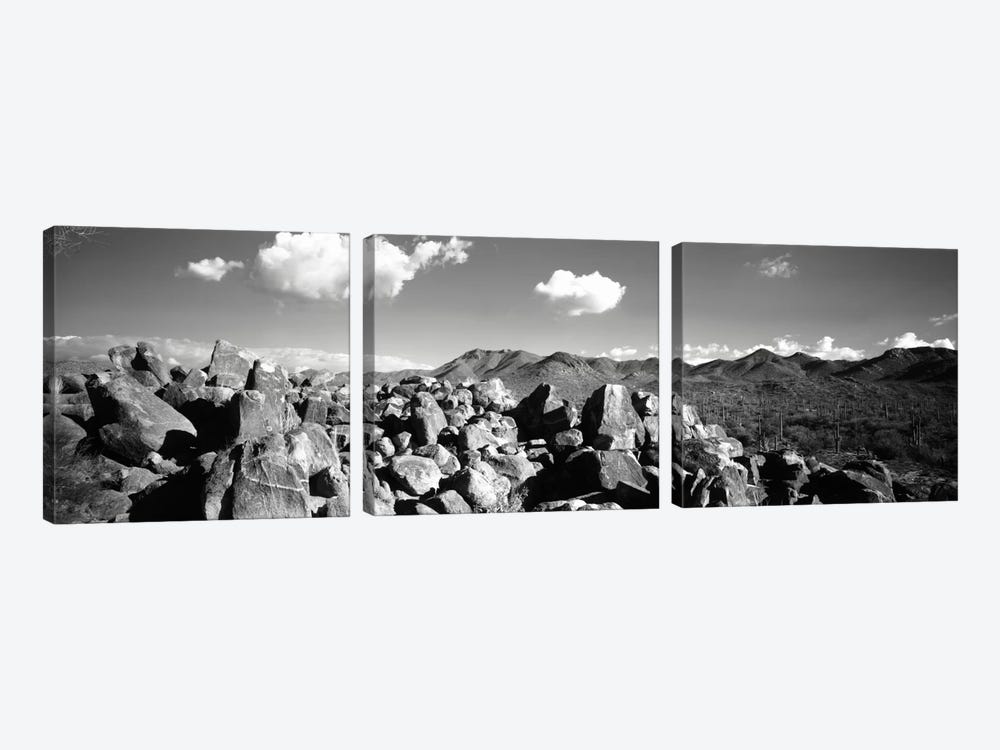 Boulders on a landscapeSaguaro National Park, Tucson, Pima County, Arizona, USA by Panoramic Images 3-piece Canvas Art Print
