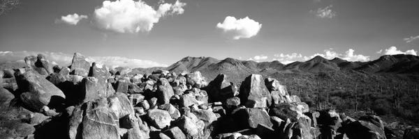 Tucson: Boulders on a landscapeSaguaro National Park, Tucson, Pima County, Arizona, USA by Panoramic Images
