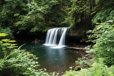 Waterfall in a forest I, Samuel H. Boardman State Scenic Corridor, Pacific Northwest, Oregon, USA by Panoramic Images art print
