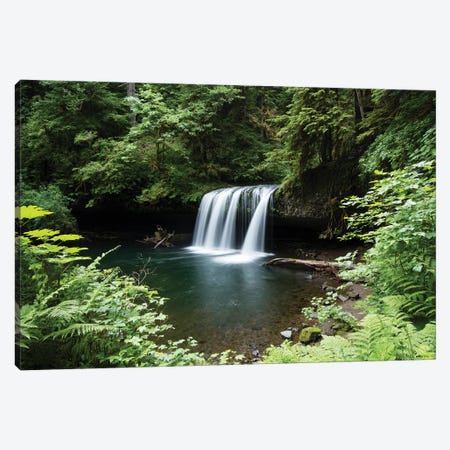 Waterfall in a forest, Samuel H. Boardman State Scenic Corridor, Pacific Northwest, Oregon, USA Canvas Print #PIM15861} by Panoramic Images Canvas Wall Art