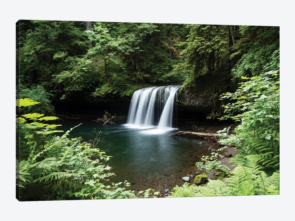 Waterfall in a forest, Samuel H. Boardman State Scenic Corridor, Pacific Northwest, Oregon, USA by Panoramic Images 1-piece Canvas Wall Art