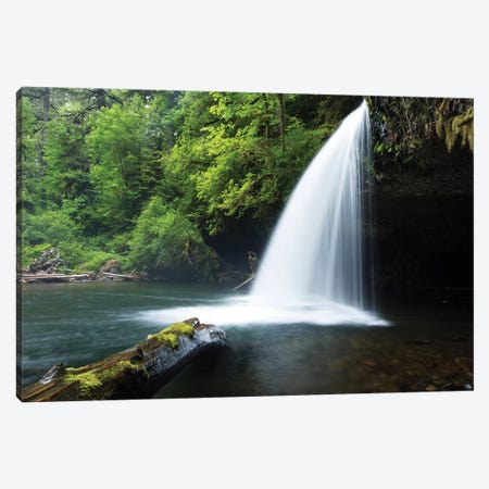 Waterfall in a forest, Samuel H. Boardman State Scenic Corridor, Pacific Northwest, Oregon, USA Canvas Print #PIM15862} by Panoramic Images Canvas Art