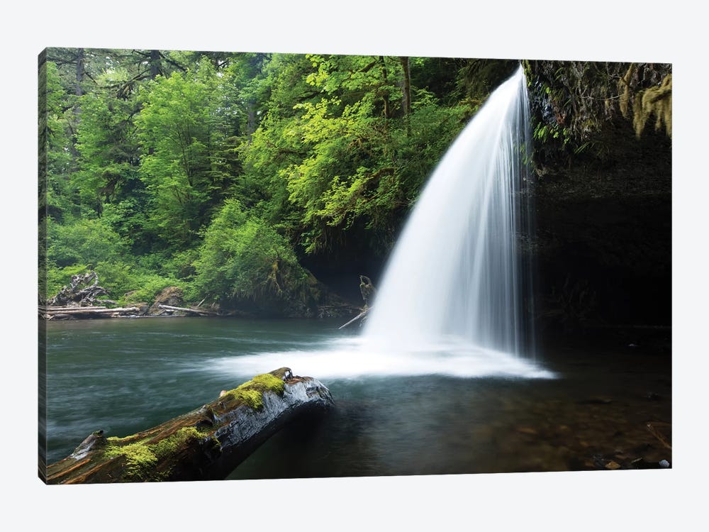 Waterfall in a forest, Samuel H. Boardman State Scenic Corridor, Pacific Northwest, Oregon, USA by Panoramic Images 1-piece Canvas Print