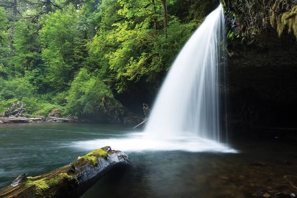 Waterfall in a forest II, Samuel H. Boardman State Scenic Corridor, Pacific Northwest, Oregon, USA