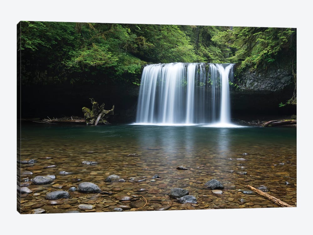 Waterfall in a forest, Samuel H. Boardman State Scenic Corridor, Pacific Northwest, Oregon, USA by Panoramic Images 1-piece Canvas Artwork