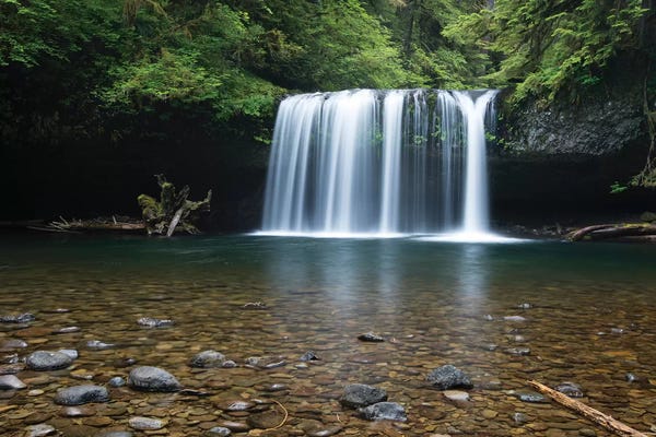Waterfall in a forest III, Samuel H. Boardman State Scenic Corridor, Pacific Northwest, Oregon, USA