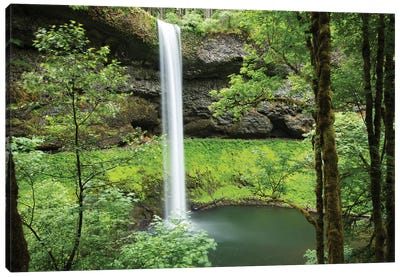 Waterfall in a forest, Samuel H. Boardman State Scenic Corridor, Pacific Northwest, Oregon, USA Canvas Art Print - Waterfall Art