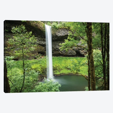 Waterfall in a forest, Samuel H. Boardman State Scenic Corridor, Pacific Northwest, Oregon, USA Canvas Print #PIM15864} by Panoramic Images Canvas Print