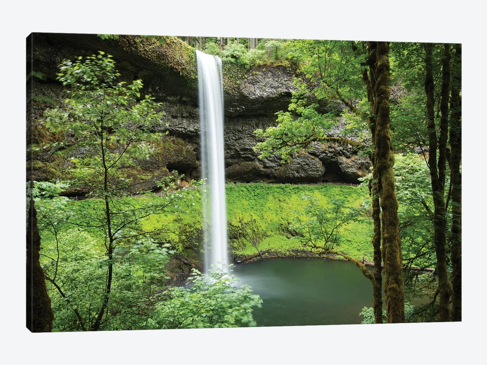 Waterfall in a forest, Samuel H. Boardman State Scenic Corridor, Pacific Northwest, Oregon, USA by Panoramic Images 1-piece Canvas Print